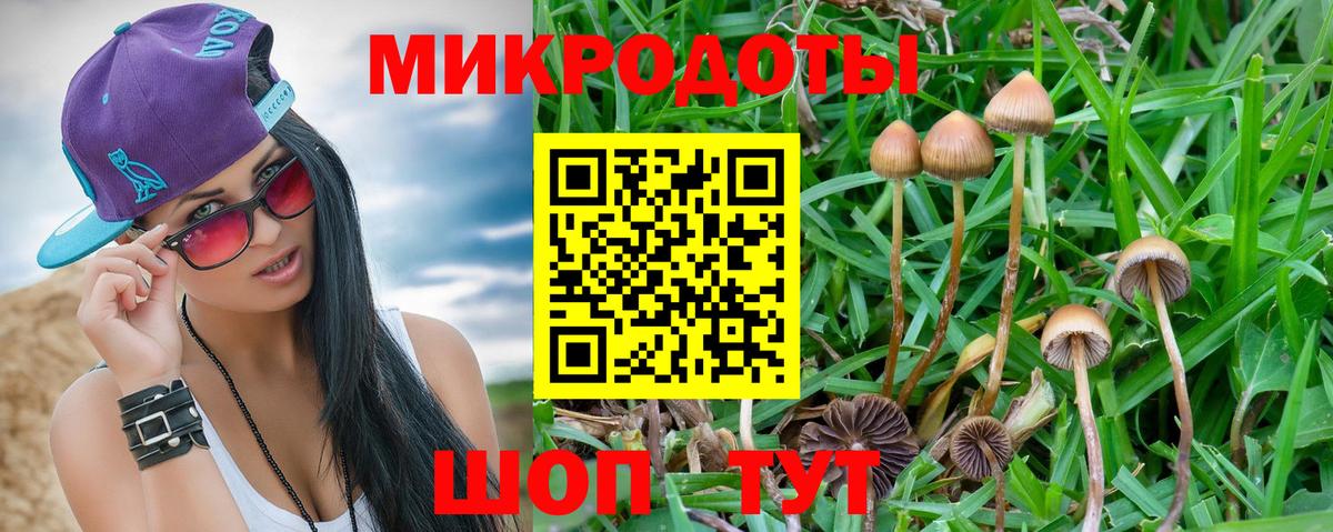 Галлюциногенные грибы ЛСД  Вход с VPN  Дзержинск 